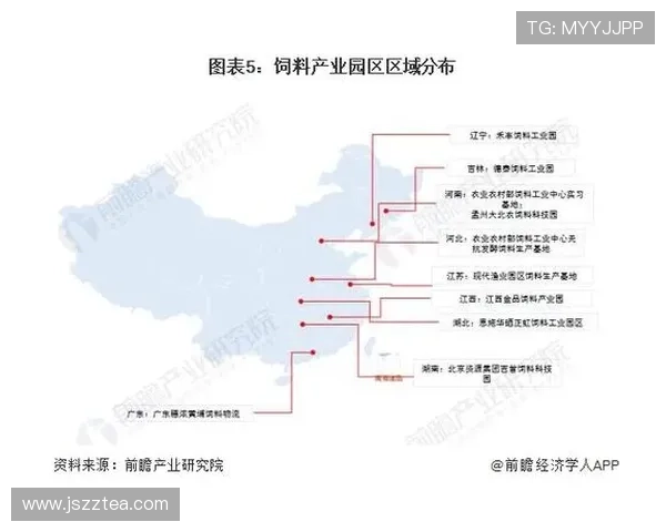 篮球赛季走势全景解析与冠军争夺格局前瞻观察及球队战术演变趋势研判 - 副本 - 副本 - 副本 - 副本 - 副本