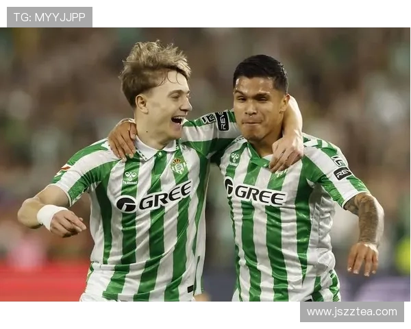 西甲数据中心全面解析赛季球队表现与球员实力排名