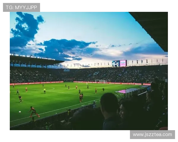 2026年国际体育赛事数据分析与趋势预测全面解读 - 副本 (2) - 副本