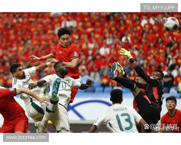 世界杯赛场上的激情与荣耀球迷、球员与历史的终极对决